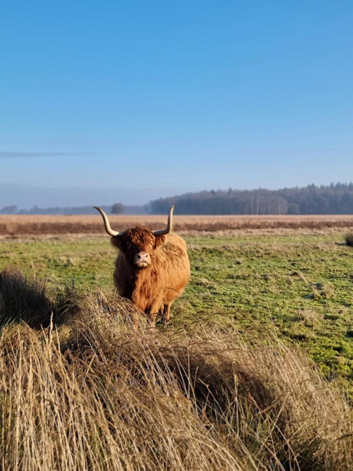 Bed and Breakfast De Schotse Hooglander Smilde Zewnętrze zdjęcie