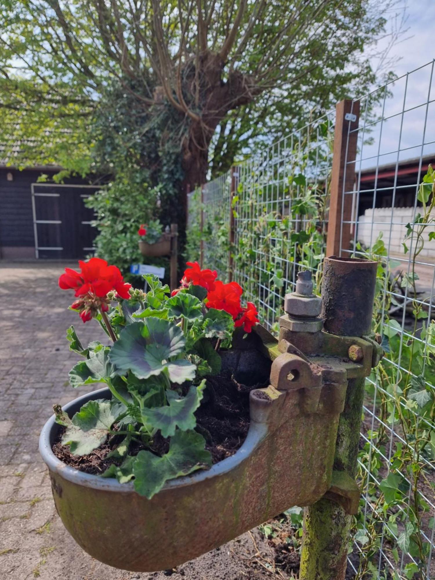 Bed and Breakfast De Schotse Hooglander Smilde Zewnętrze zdjęcie